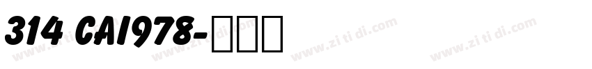 314 CAI978字体转换